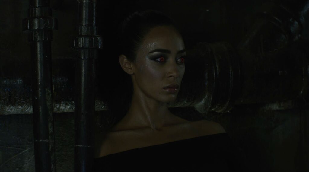 Image: Novastar FX Inc.