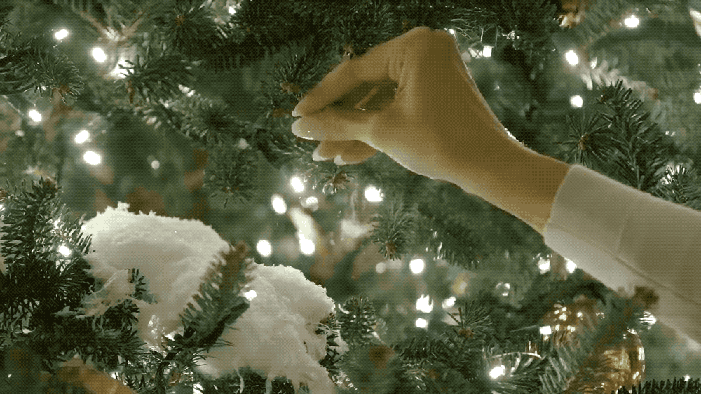 Image: The White House