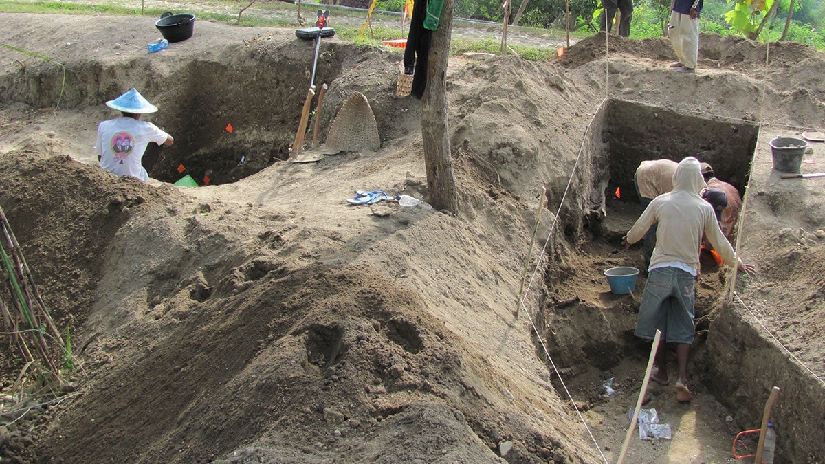 Excavations done at Ngandong in 2010.