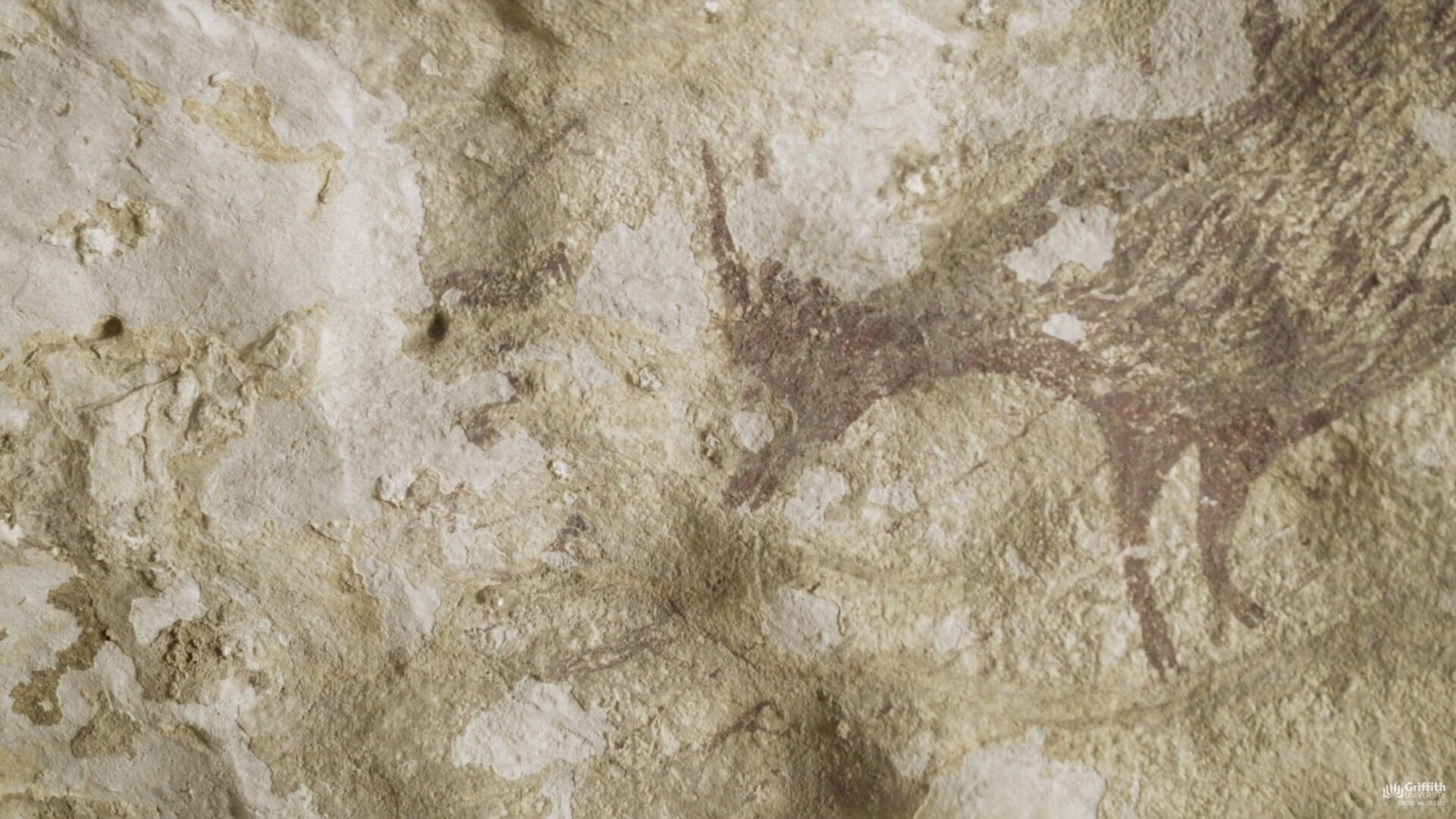 A section of the cave painting.