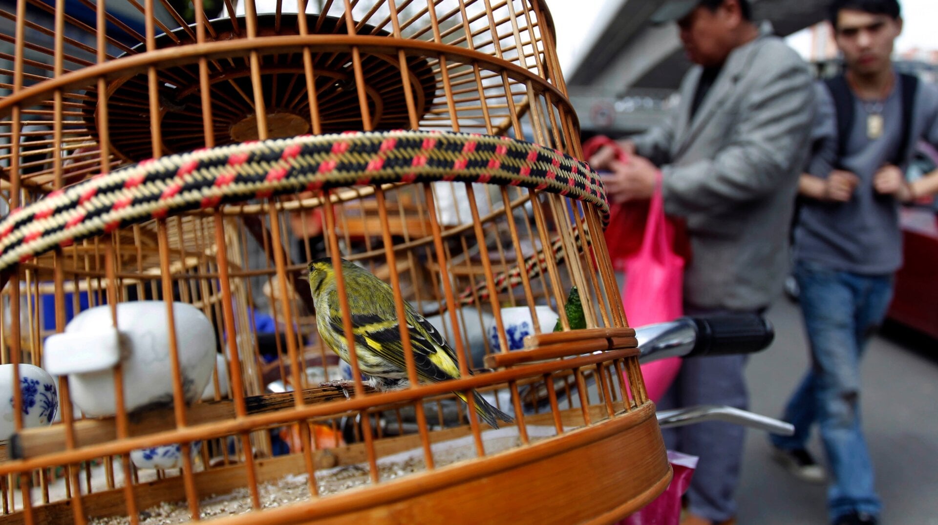 A bird market in Beijing, China.