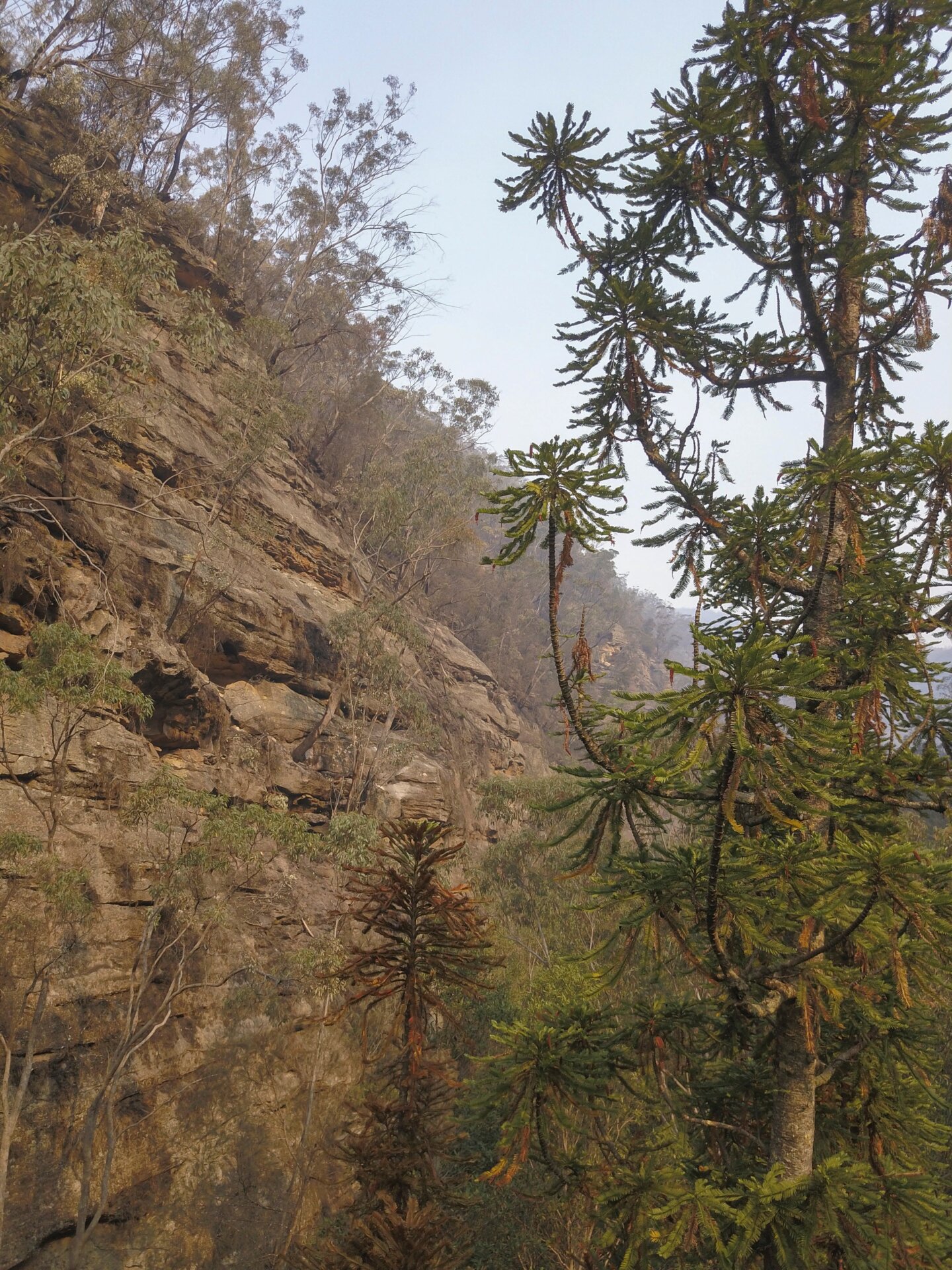 Photo: Courtesy of New South Wales Government