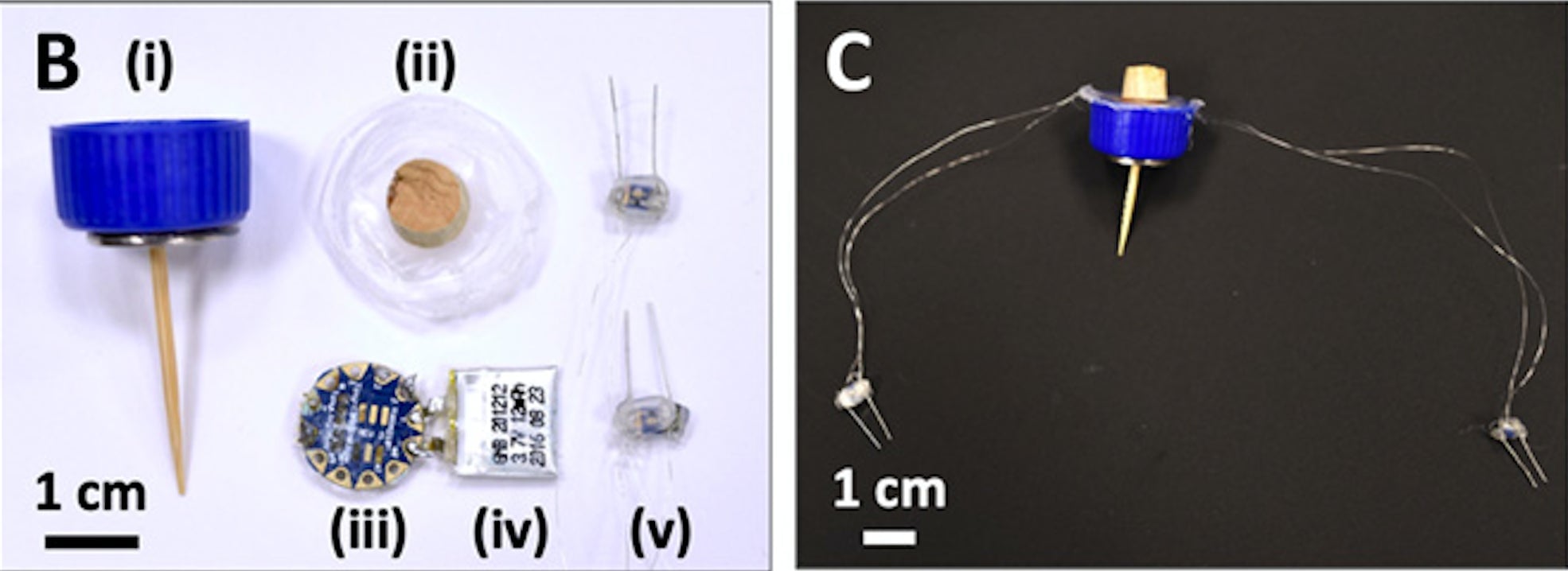 Screenshot: Wu and Dabiri