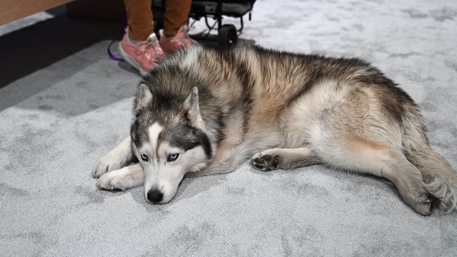 Photo: Sam Rutherford