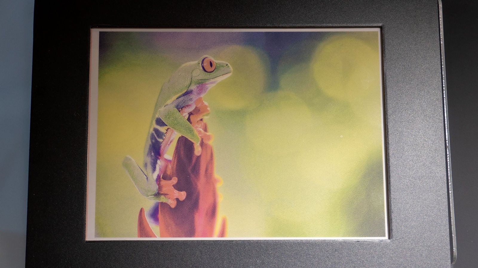 Photo: Andrew Liszewski