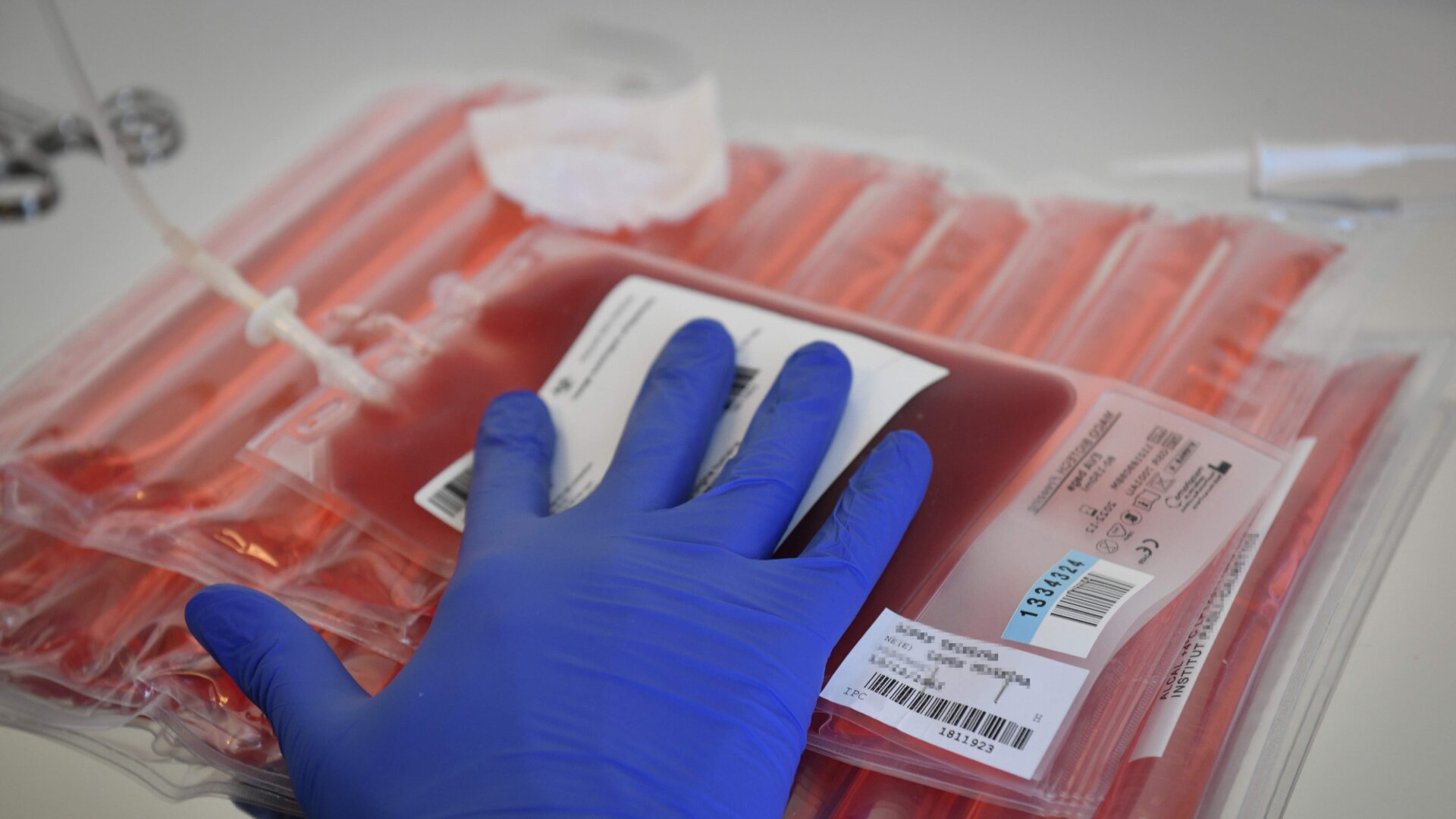 Above, a doctor prepares to modify the T cells of a cancer patient for CAR T cell therapy.