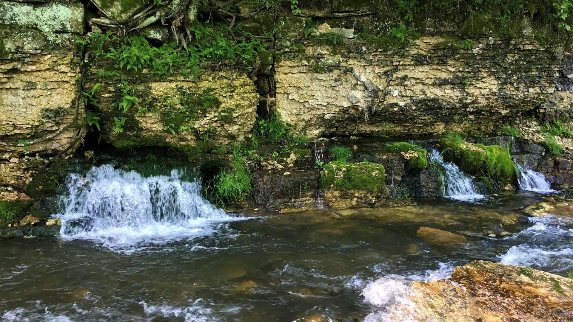 Photo: USFWS Midwest Region