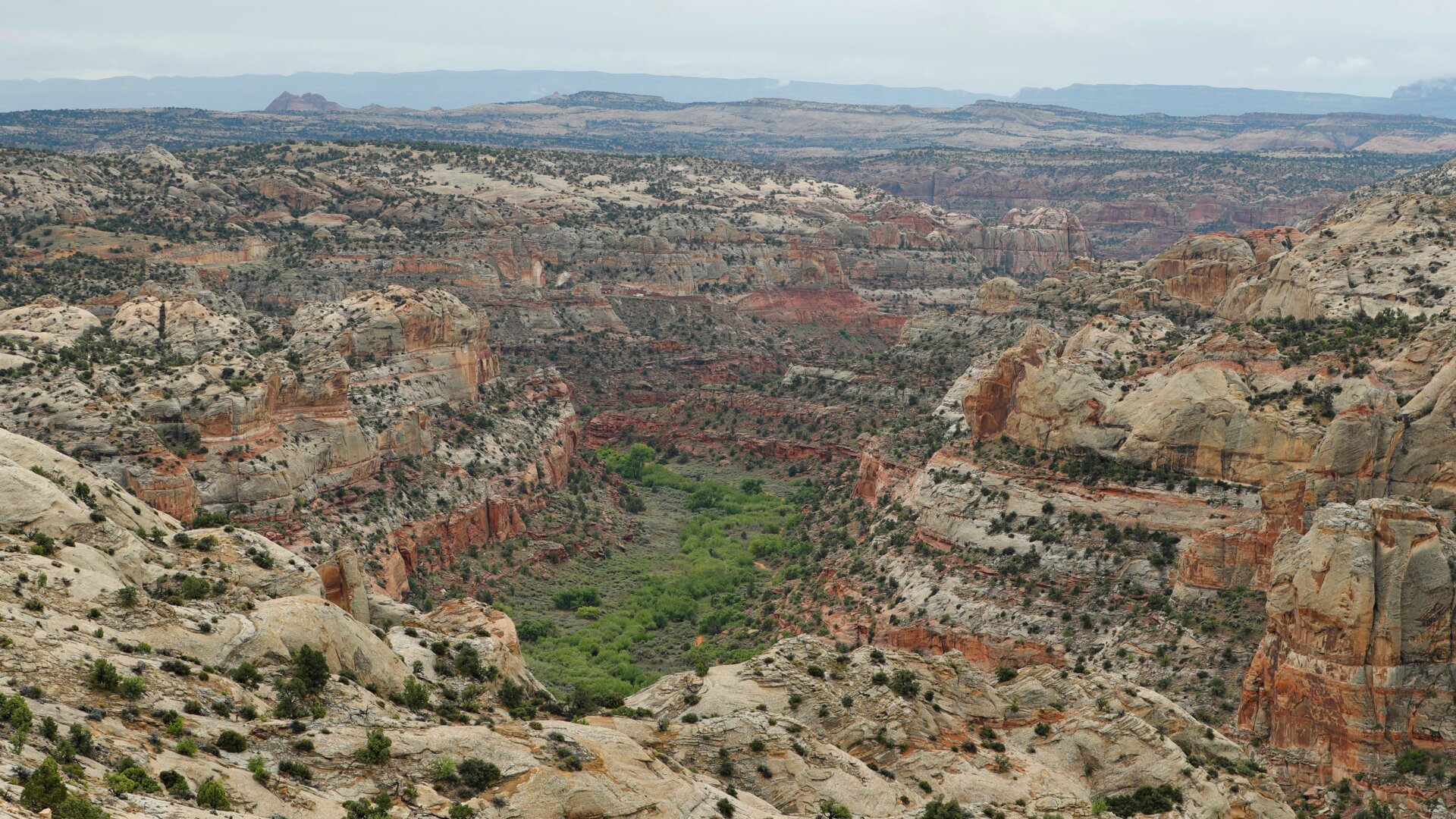 Mighty fine place to stick an oil well or two.