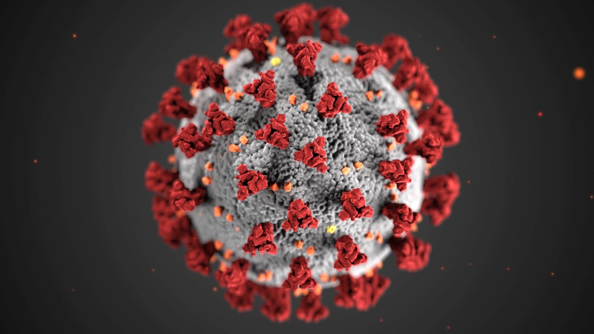 An illustration of SARS-CoV-2, the coronavirus that causes COVID-19