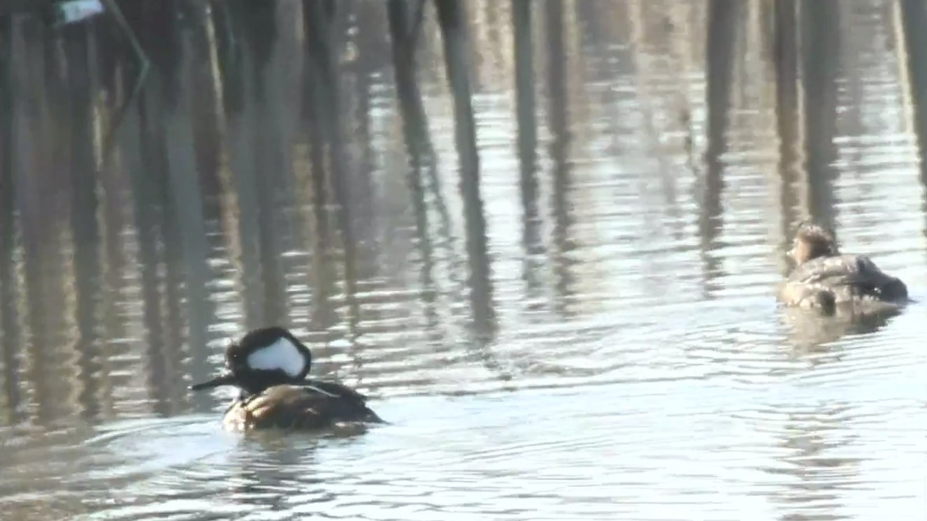 Image: DamianExplores