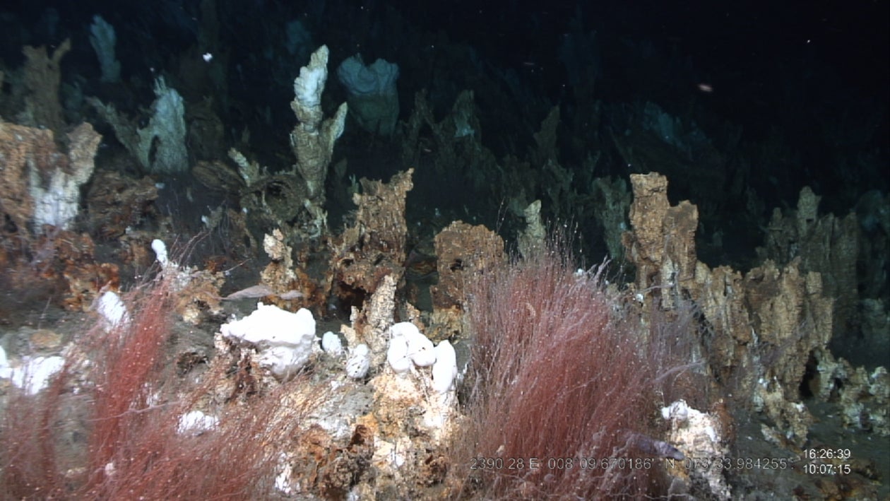 Chlamydia-related bacteria were found several feet beneath Loki’s Castle (pictured), a series of hydrothermal vents in the Arctic Ocean.