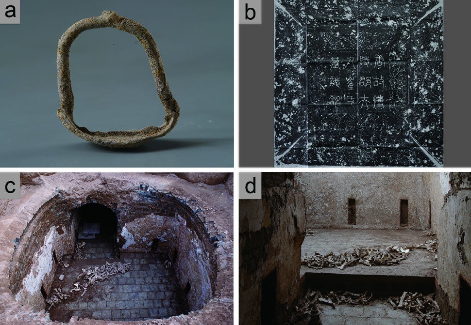 Artifacts found in the tomb: (a) a stirrup, (b) stone epitaph, (c) and (d) animal bones. 