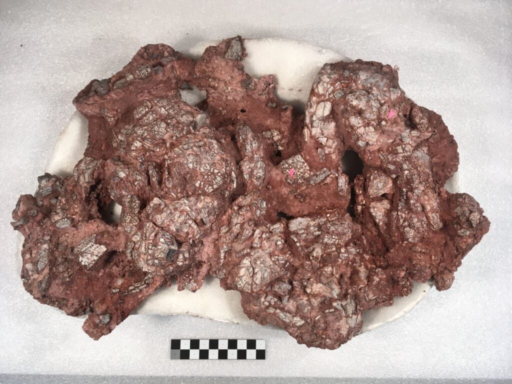 Photo: Courtesy Caleb Gordon