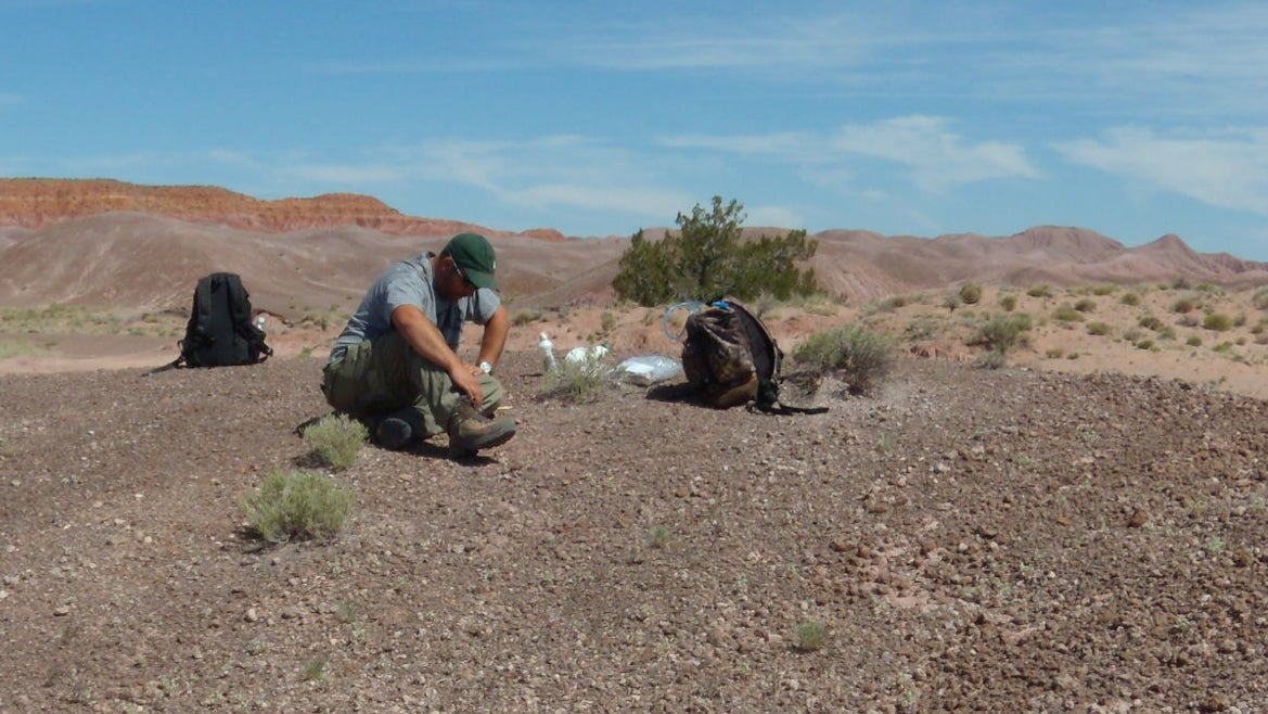 Zachary Lavender preparing to excavate the specimen in Arizona’s Petrified Forest National Park in 2010.