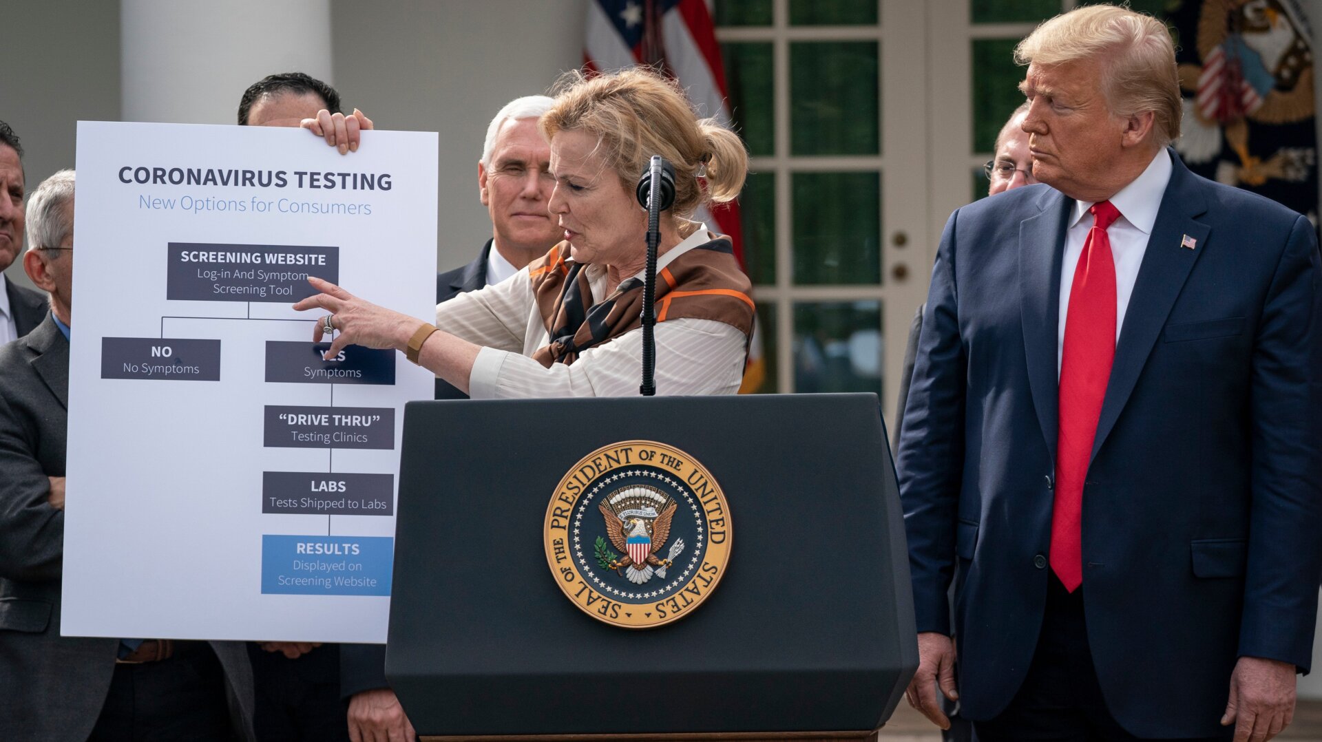 At a press conference Friday, White House coronavirus response coordinator Dr. Deborah Birx walked through how the (now confirmed non-existent) project would work.
