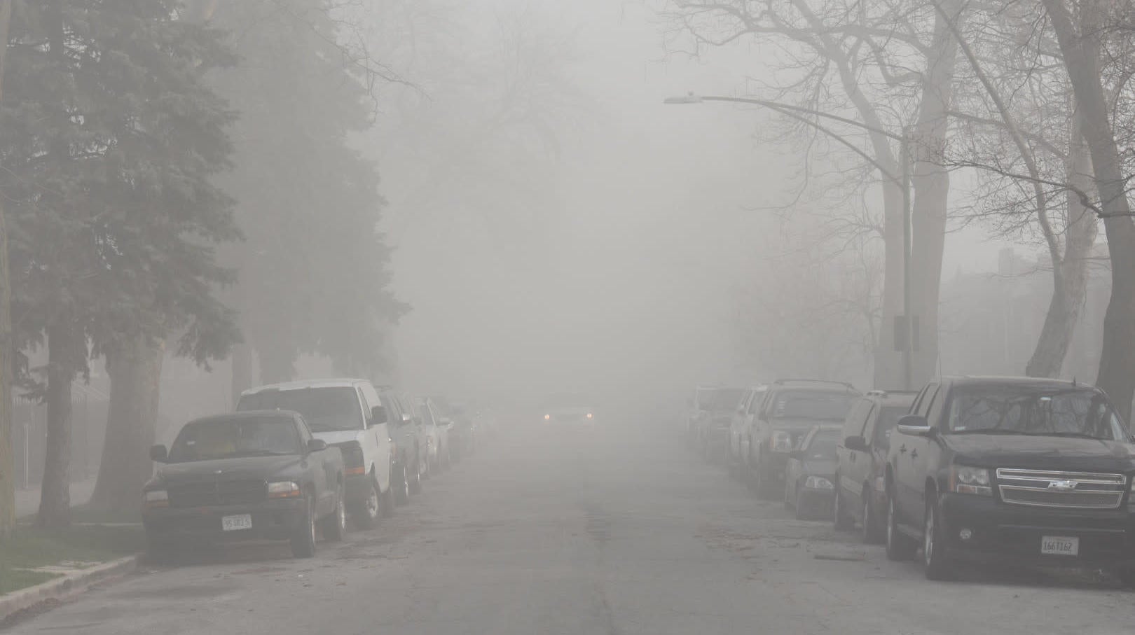 Photo: Maclovio @macnifying_glass