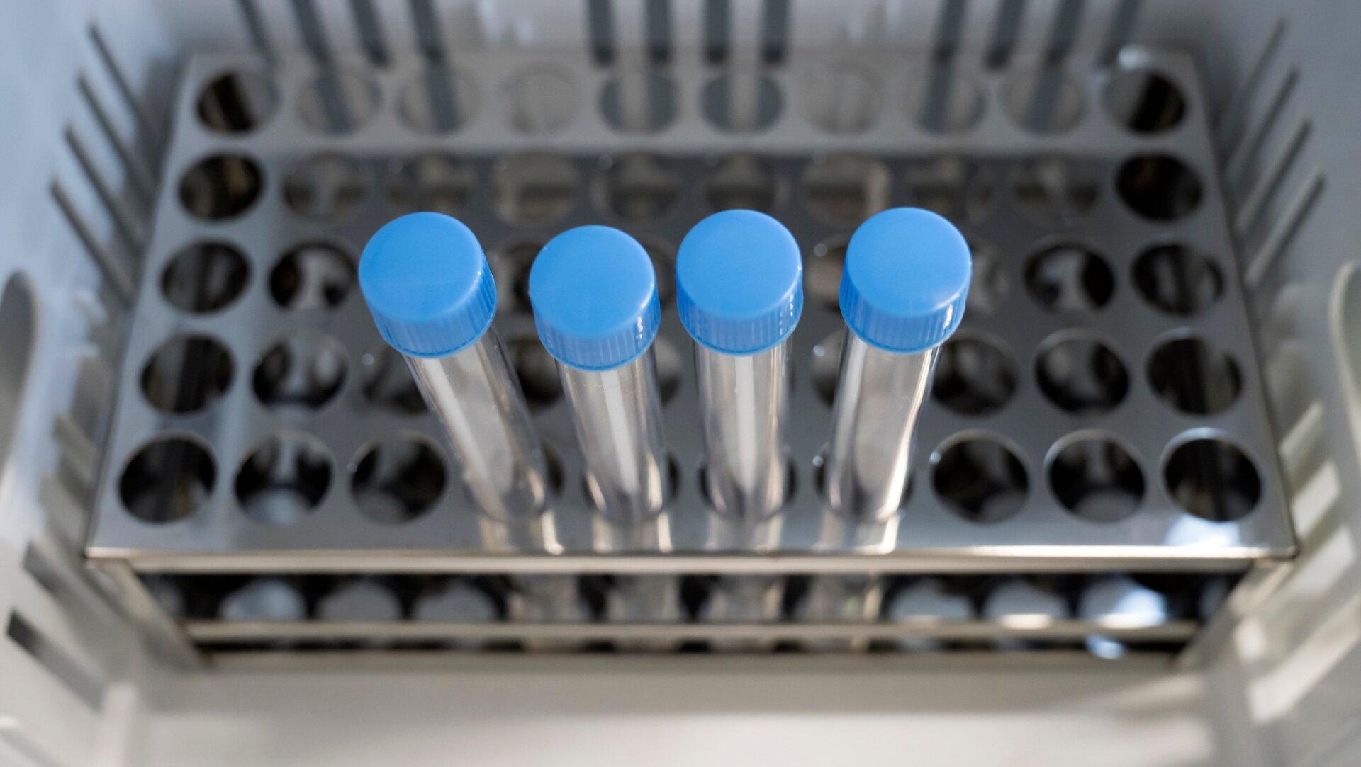 Containers for swab samples, which are used for a polymerase chain reaction (PCR) test to detect the coronavirus that causes covid-19.