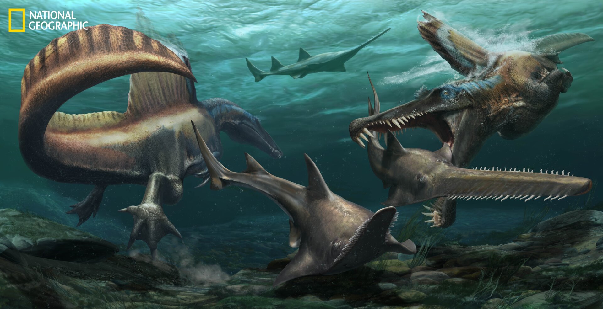 Depiction of two spinosaurs hunting Onchopristis, a Cretaceous sawfish.