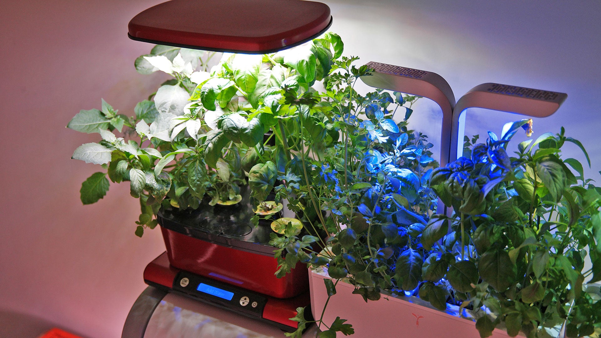 Just look at all that green goodness. 