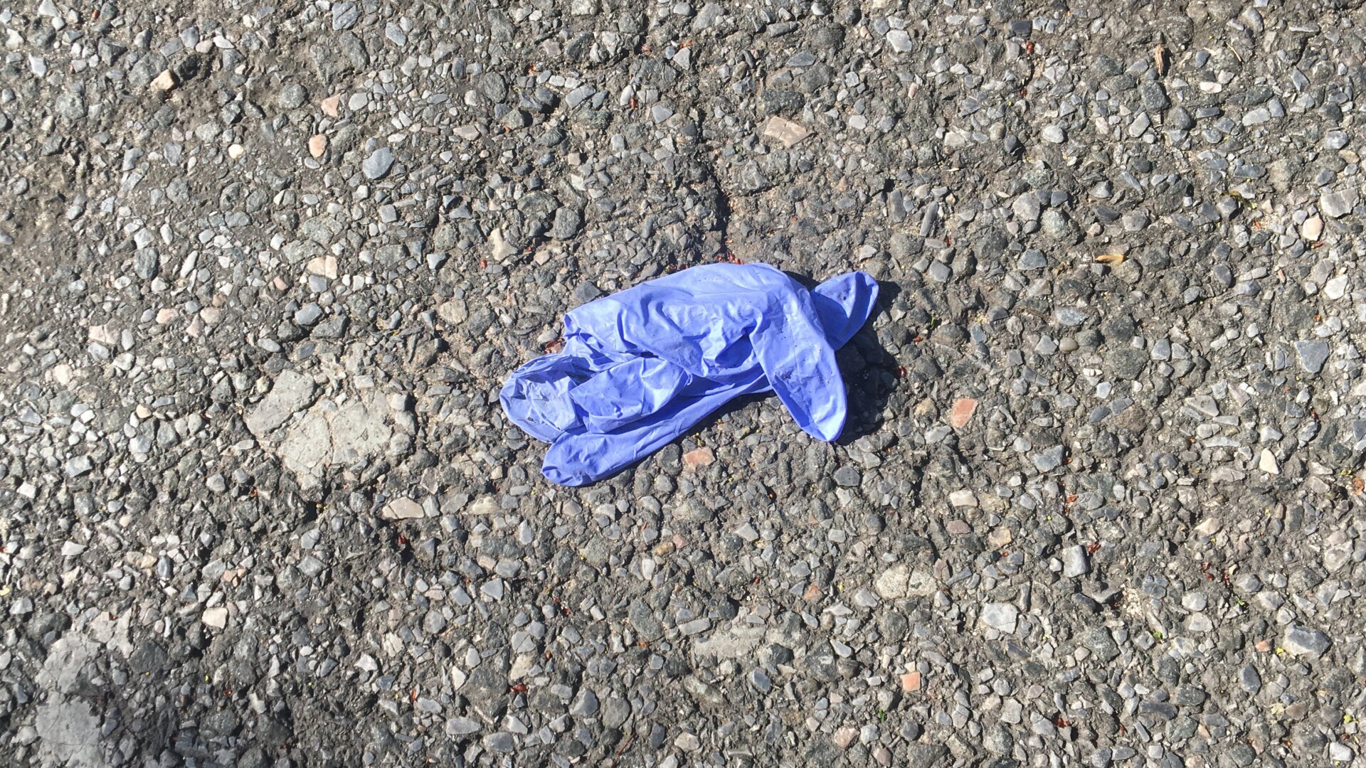 Are you goddamn kidding me