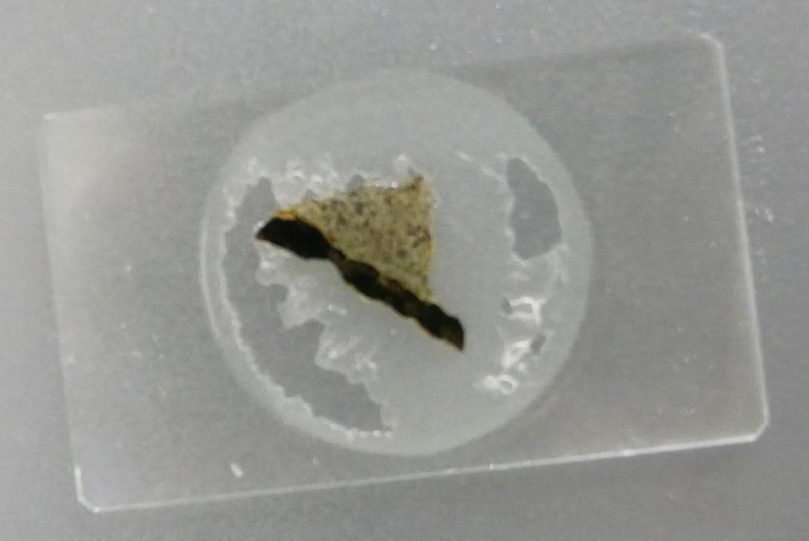 A volcanic rock sample on a slide. 