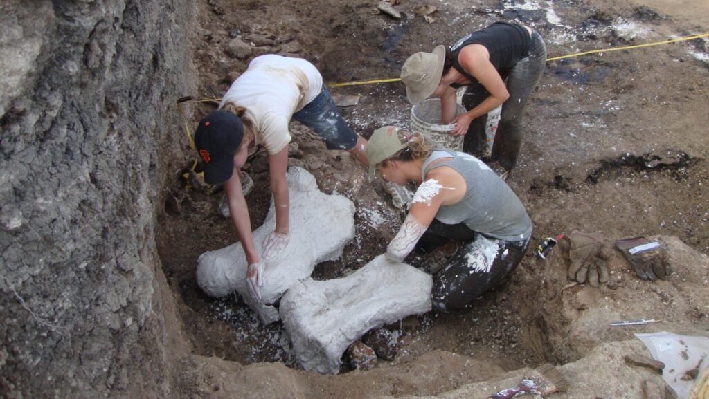 Photo: Martin Tomasz