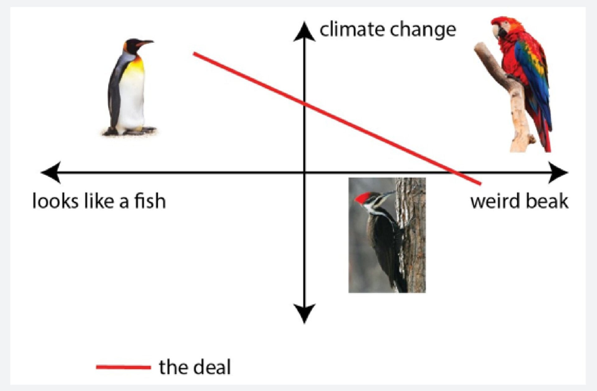 Figure 1: Relationships between climate change (a), looks like a fish (b), and weird beak. X-values were scaled between 0 and 1 for visualization purposes.