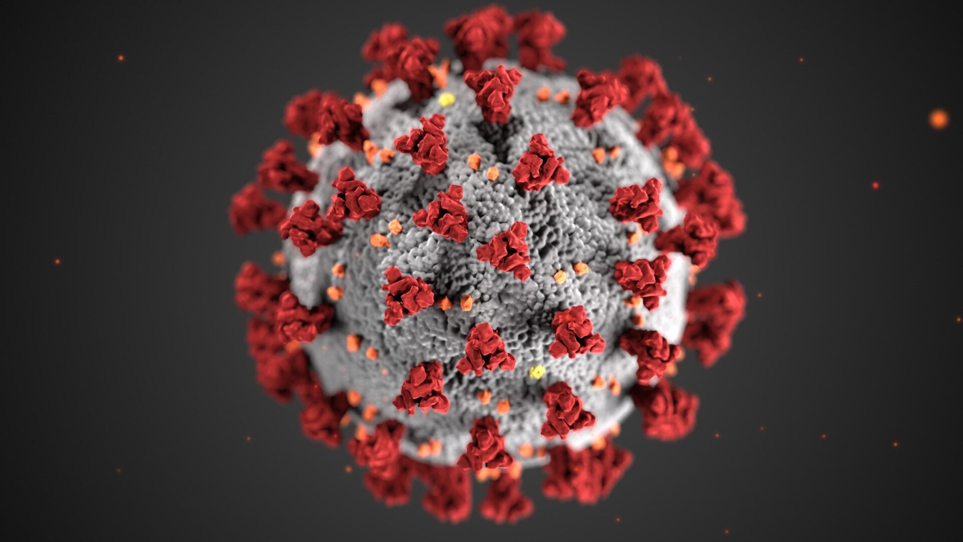 An illustration of a coronavirus. One of these viruses, SARS-CoV-2, causes covid-19.