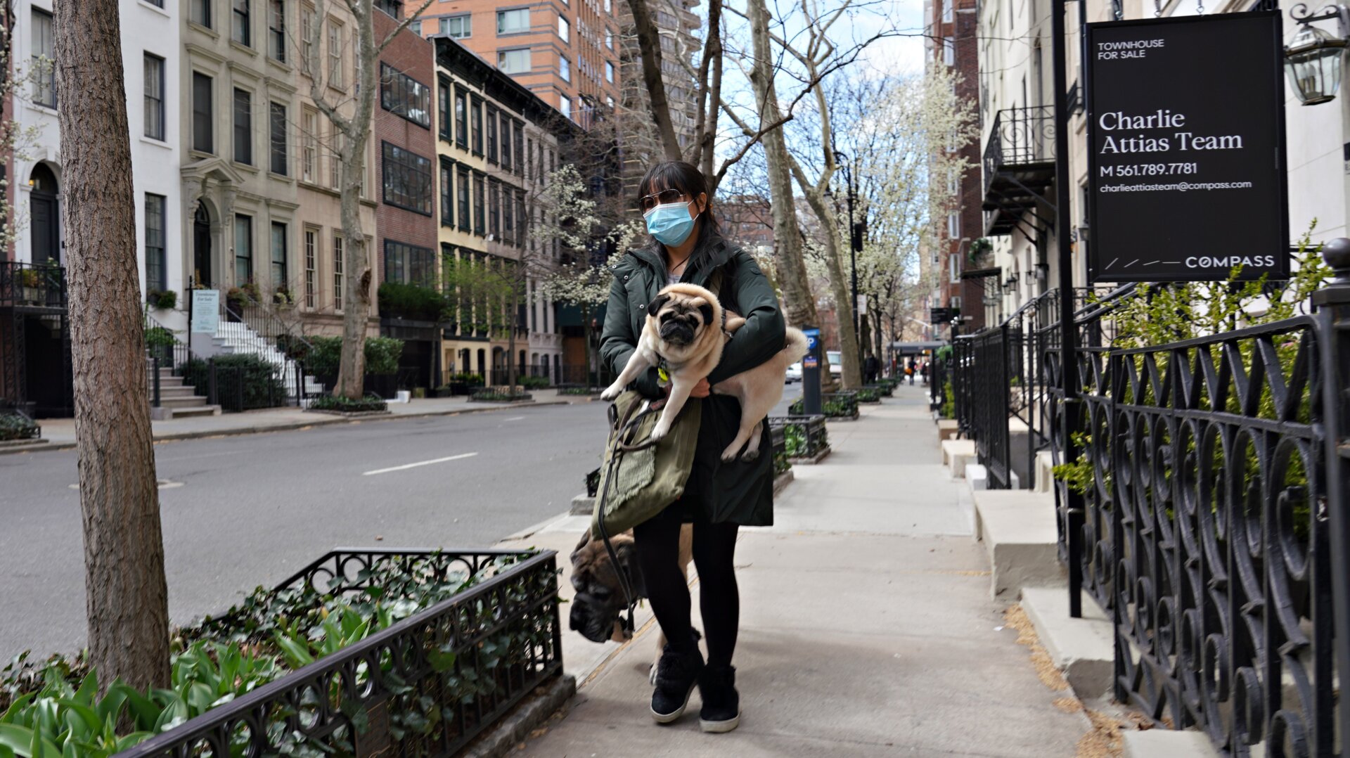 A woman carrying her pug in New York City in early April.