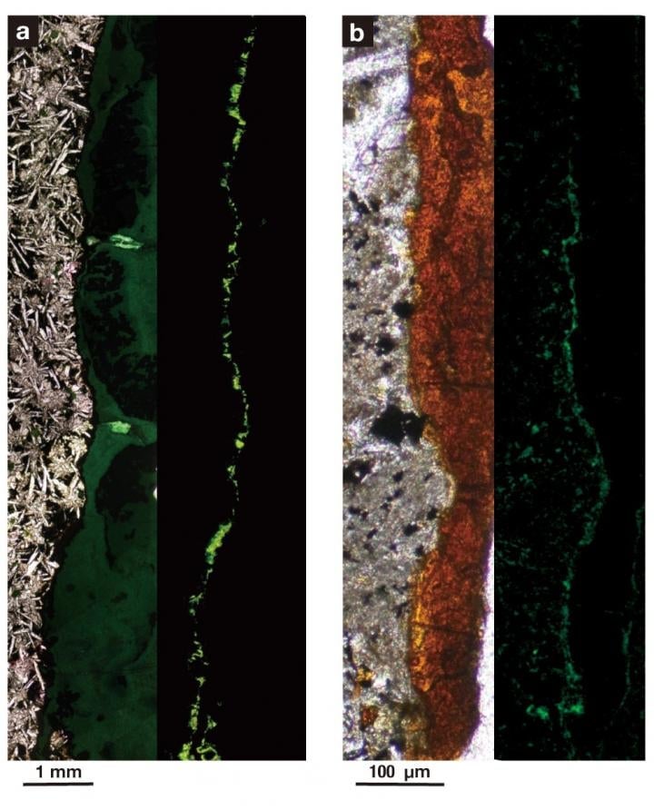 Magnified images of the rock samples, in which (b) is 1,000 times more magnified than (a). The green splotches to the right of each show the bacteria, as illuminated by fluorescent light. Grey areas are clay, and orange areas are solid basalt (volcanic) rock. 