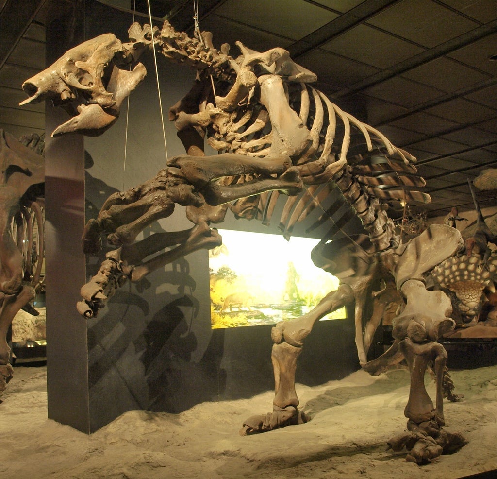 Skeleton of a giant ground sloth, Eremotherium laurillardi