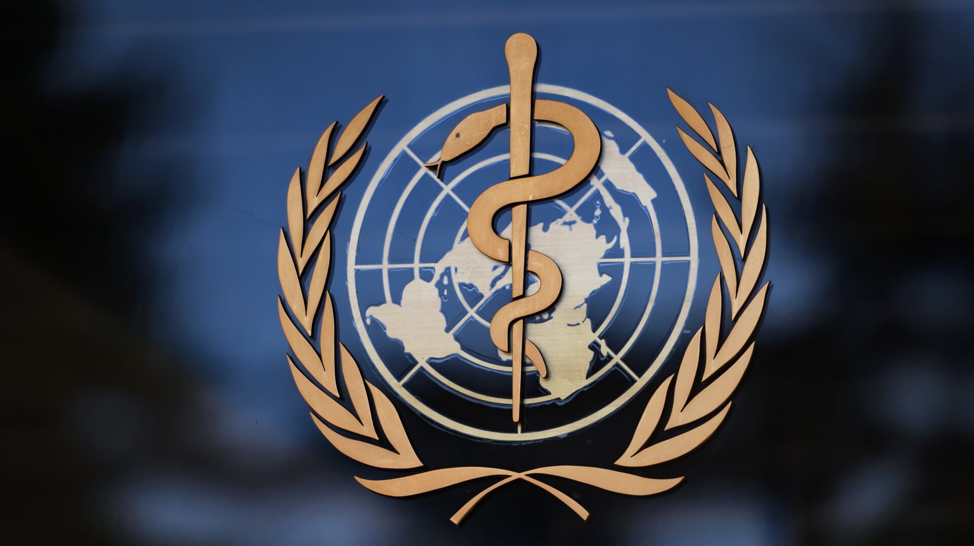 World Health Organization logo.