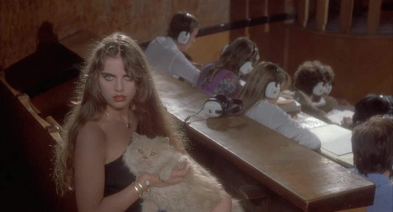 Only witches are allowed to bring cats to music class.