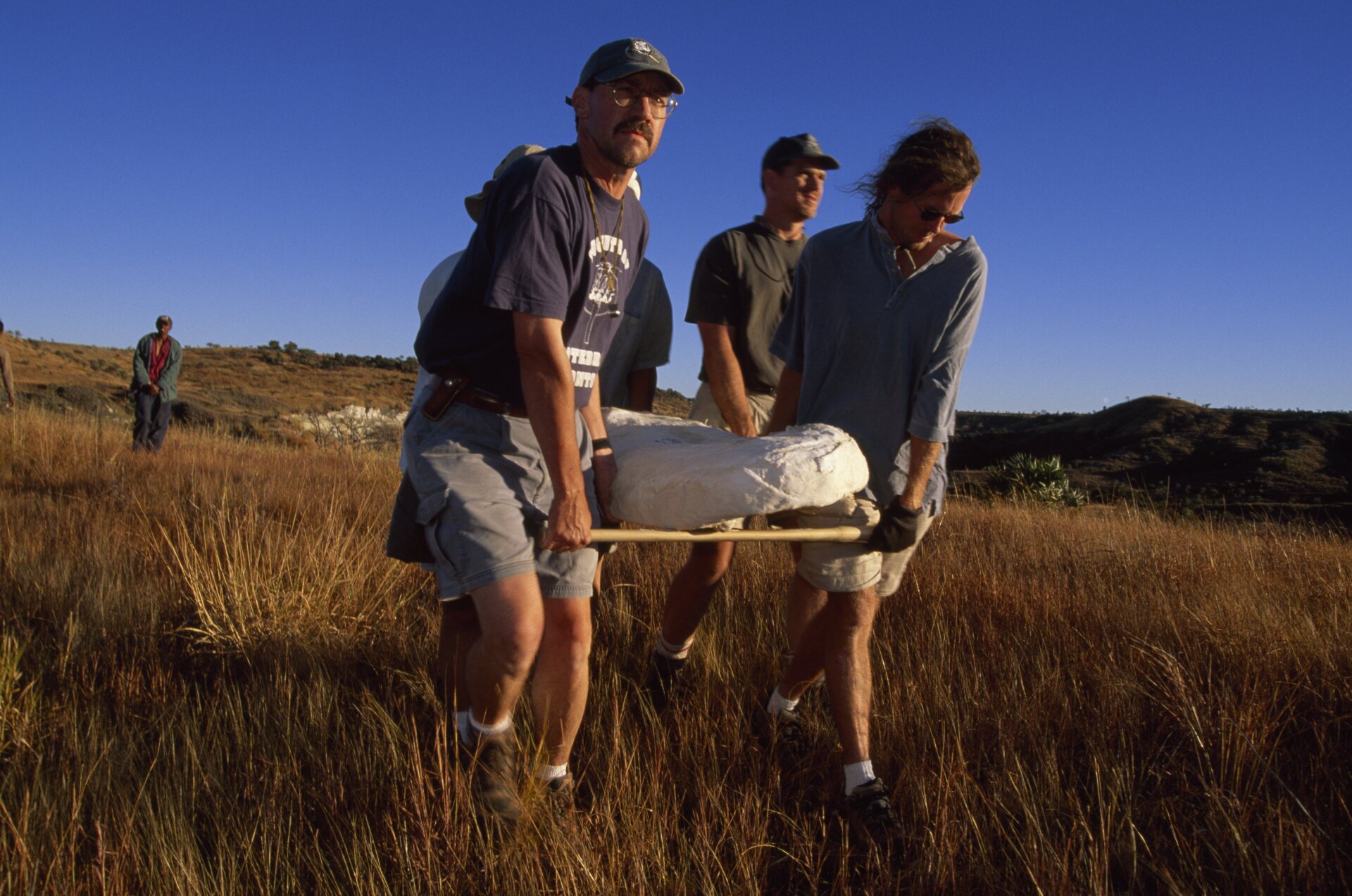 Scientists led by Krause carrying plaster-wrapped A. hui skeleton