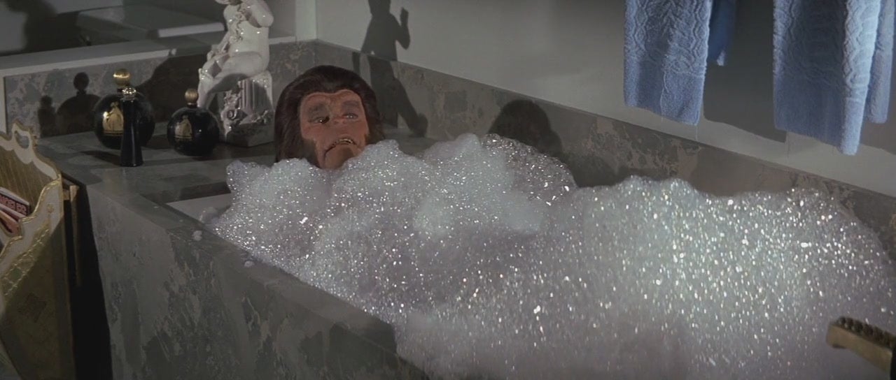 Zira takes a bubble bath.