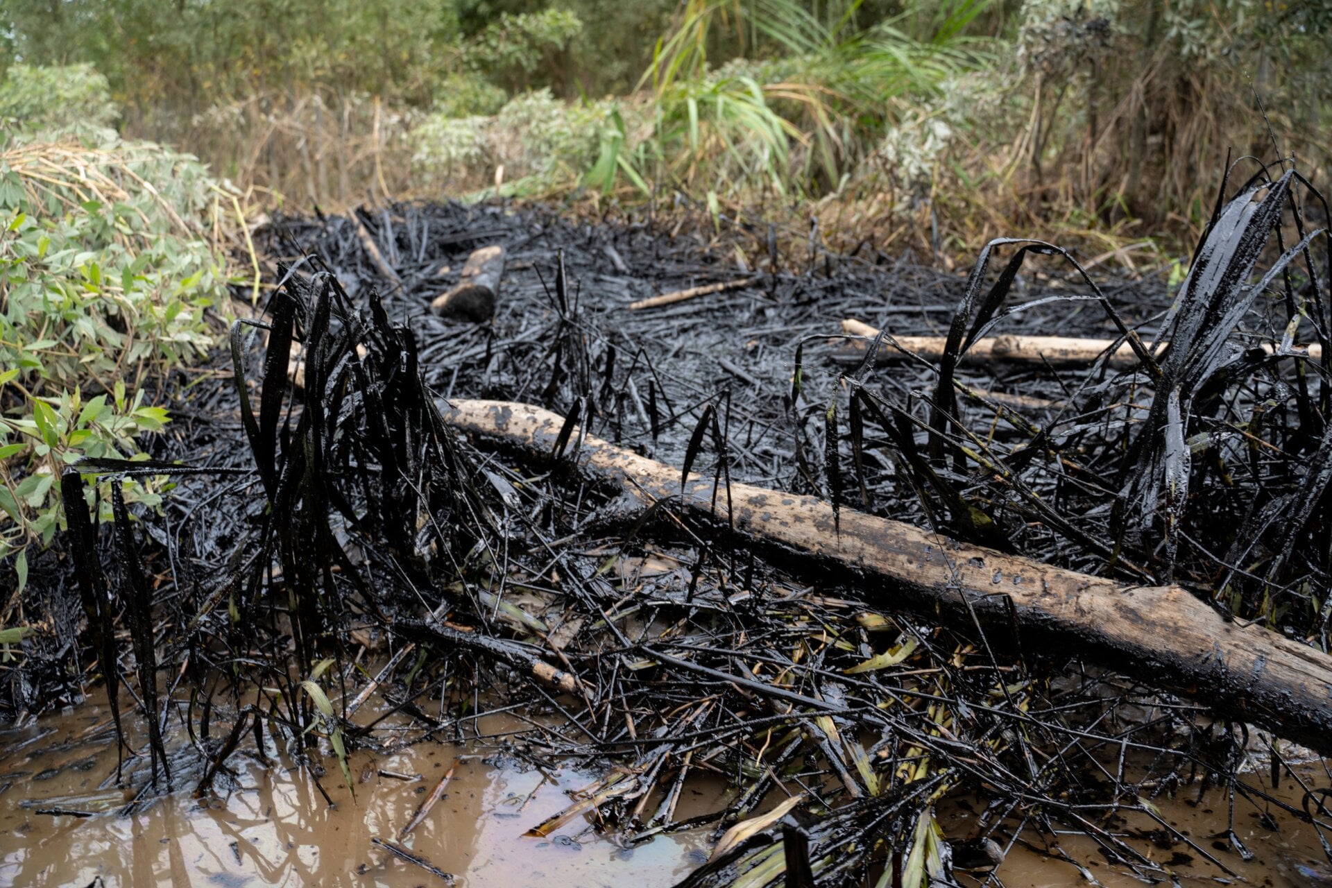 Crude oil on the banks of the river near the city of Coca, Sucumbios, northern Ecuadorian Amazon, April 10.