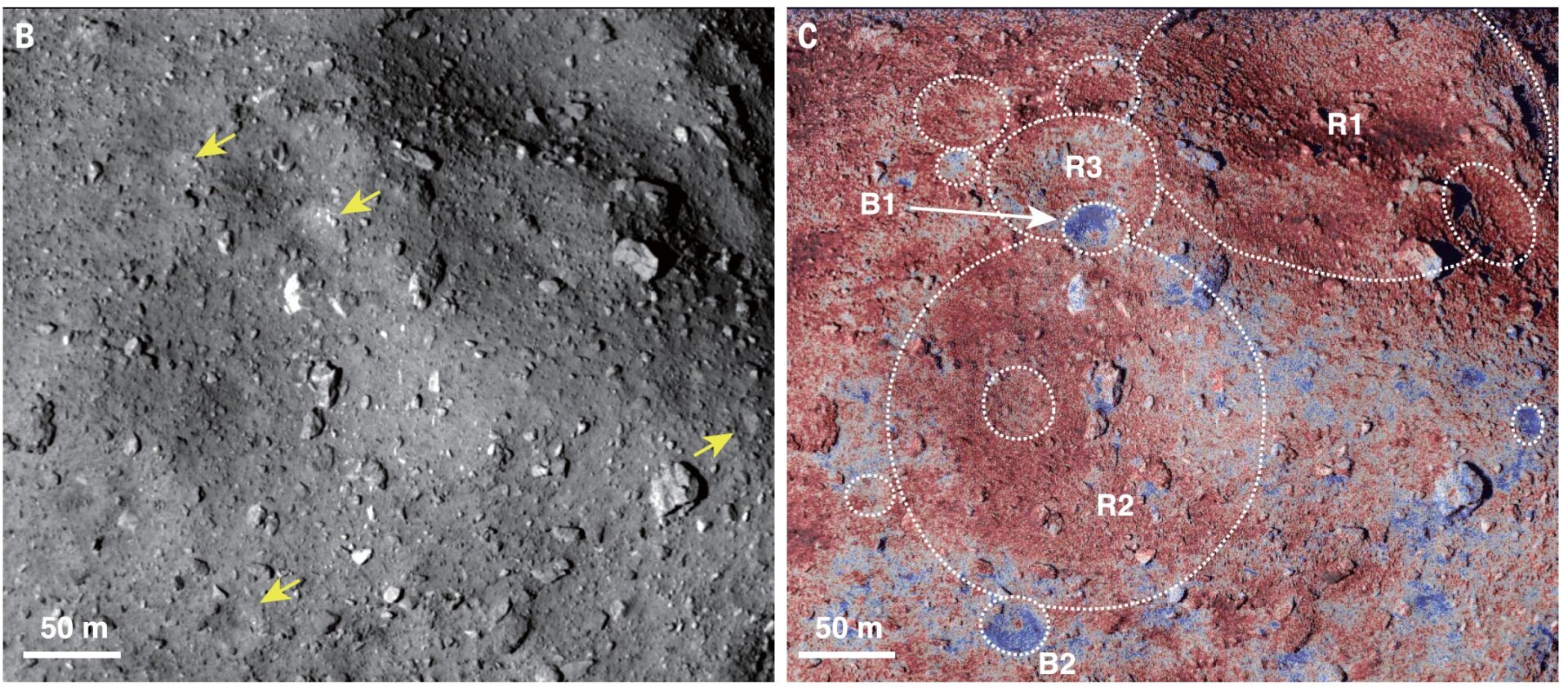 Side-by-side views of Ryugu’s surface and the distribution of different materials. 