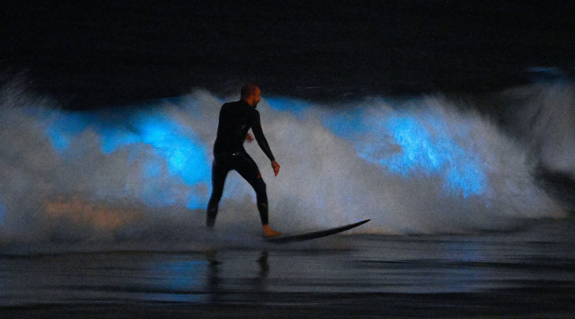 A surfer amid bioluminescent waves in Newport Beach, California, on April 30, 2020.