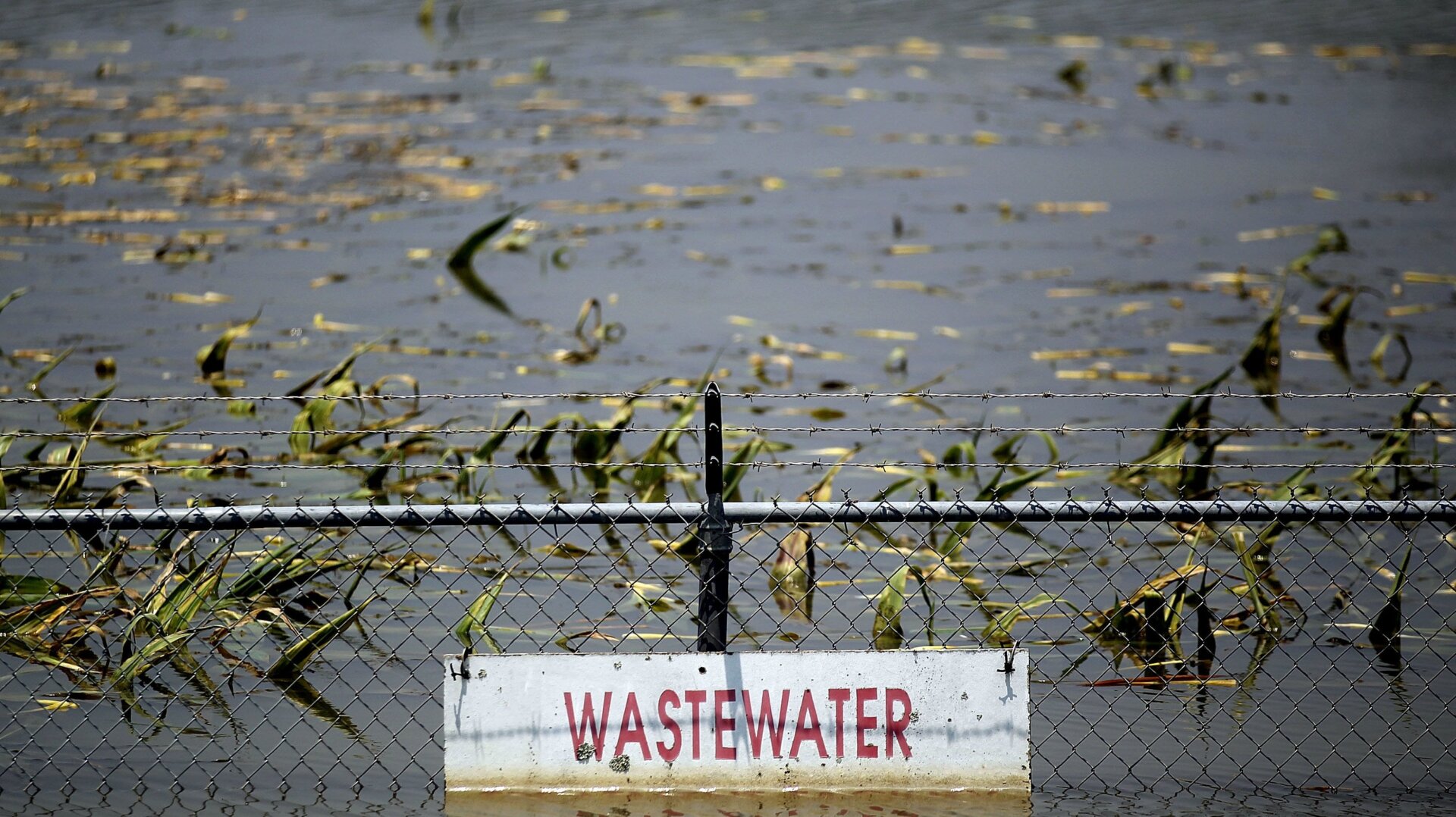 Floodwaters take over a wastewater treatment plant near Yazoo City, Mississippi, in May 2011.