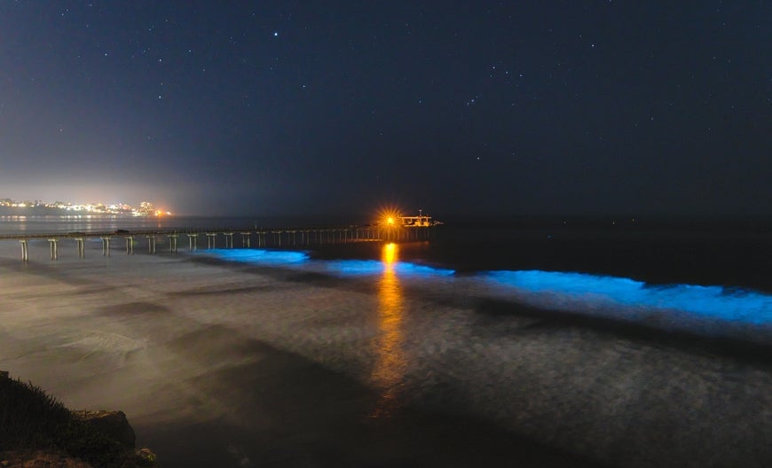 Bioluminescent waves near Scripps Pier, as seen on April 24, 2020.