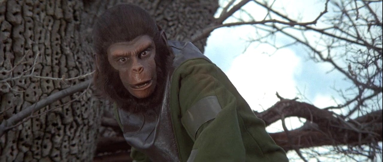 Roddy McDowall as Caesar in Battle for the Planet of the Apes.