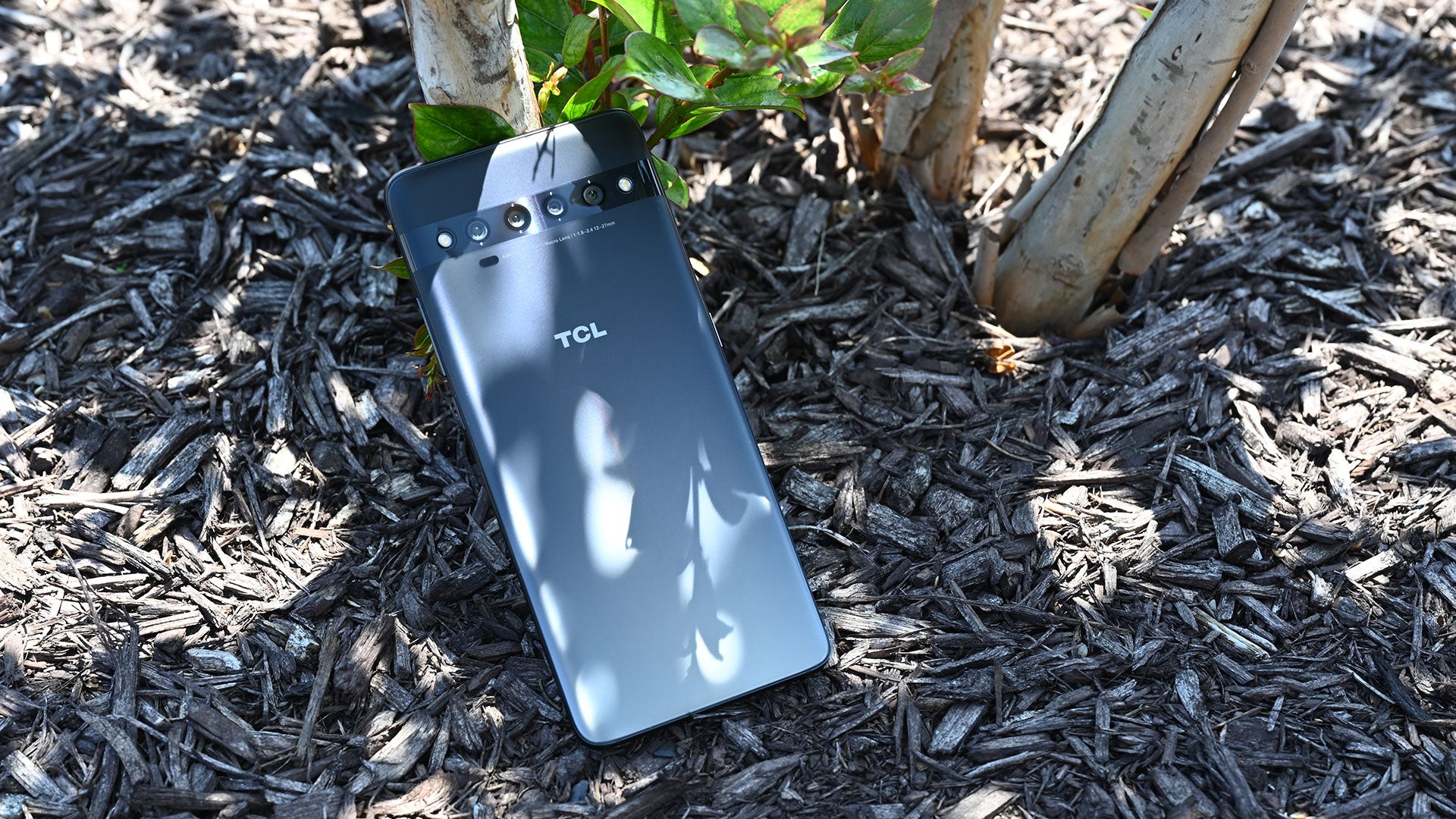 Photo: Sam Rutherford