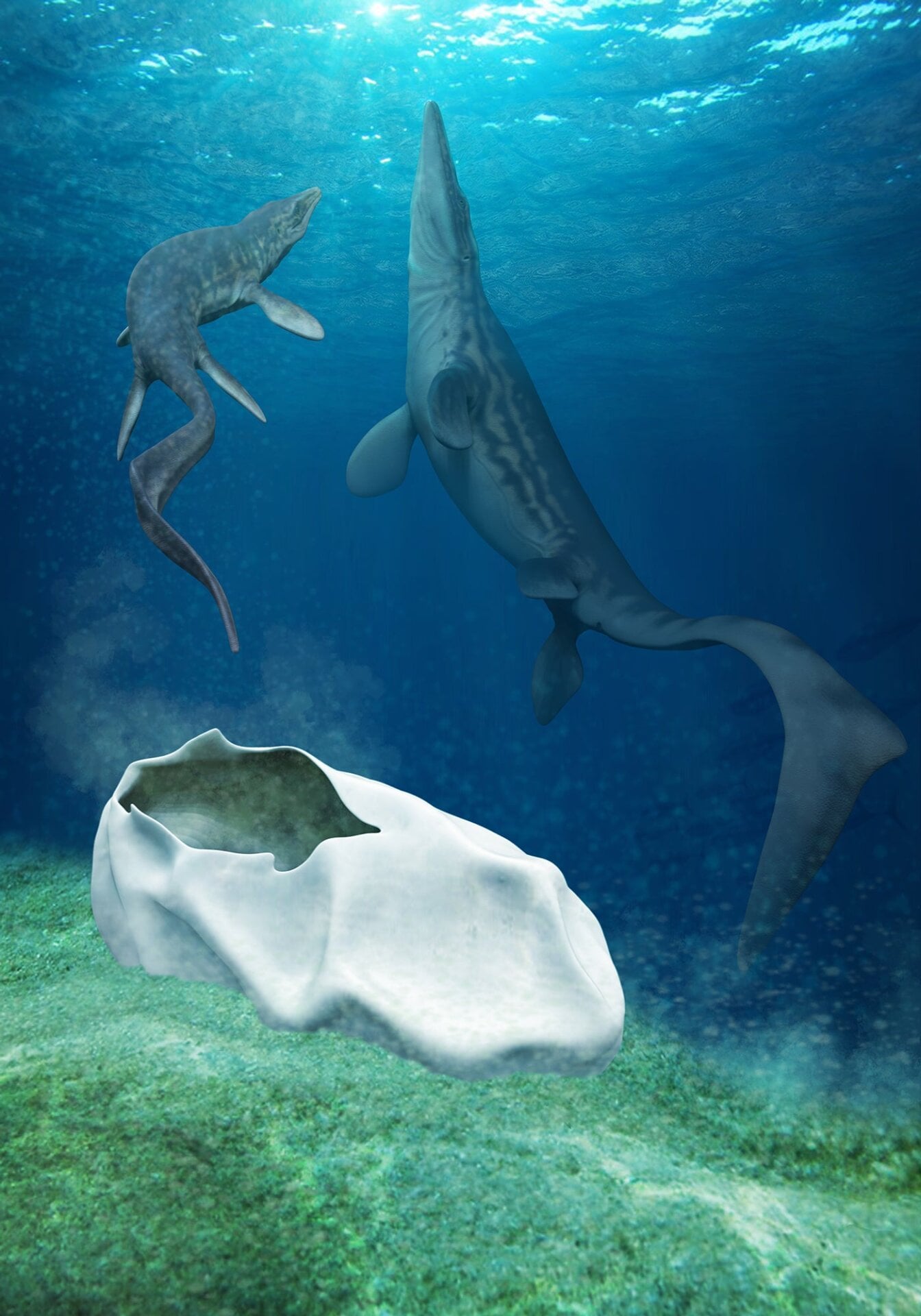 Artist’s interpretation of a baby mosasaur hatching from an egg.