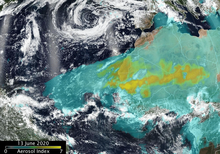 Animation showing the aerosols in the giant plume of Saharan Dust blowing off the western coast of Africa on June 13 to 18, 2020.