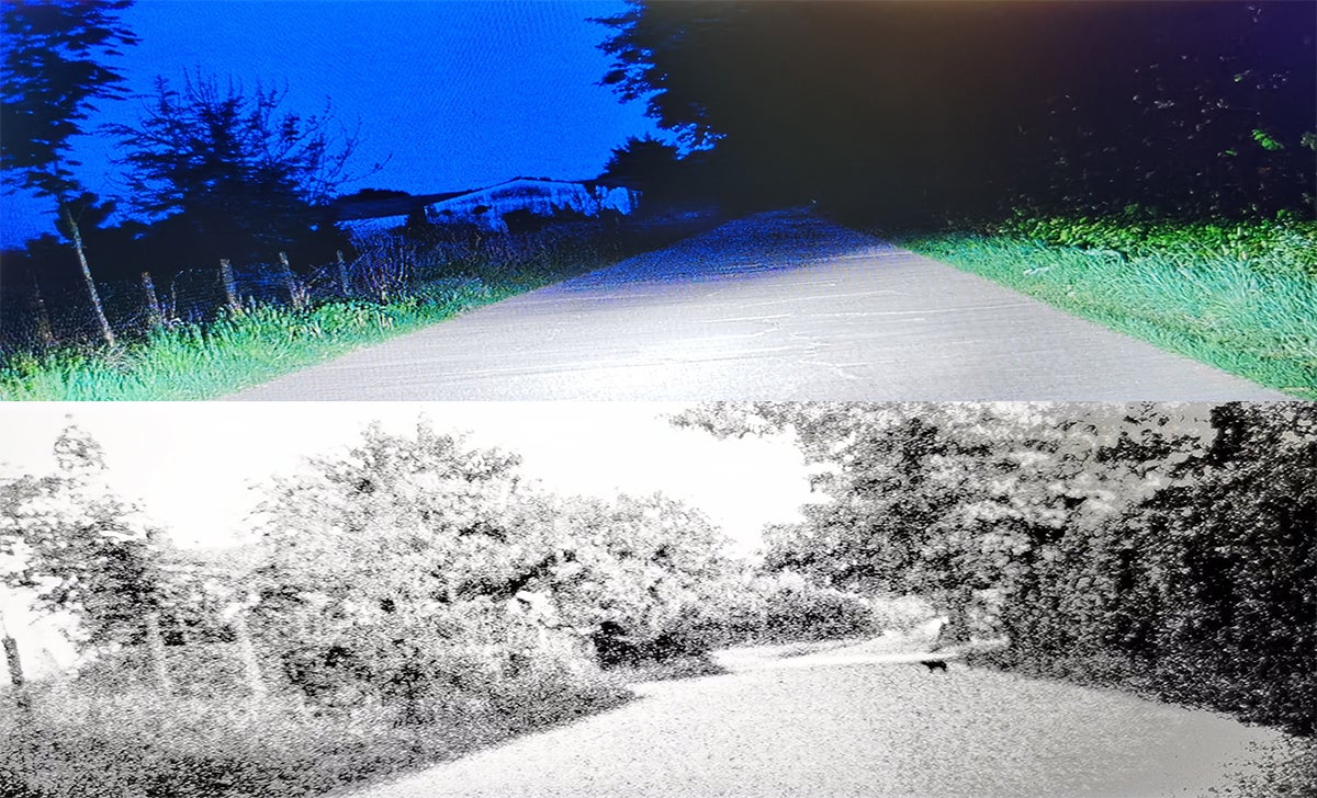 On the top, you can see the image in color. Below it, you can see the image in black and white at 480p that appears when you completely turn off your car lights. Can you see the cat?