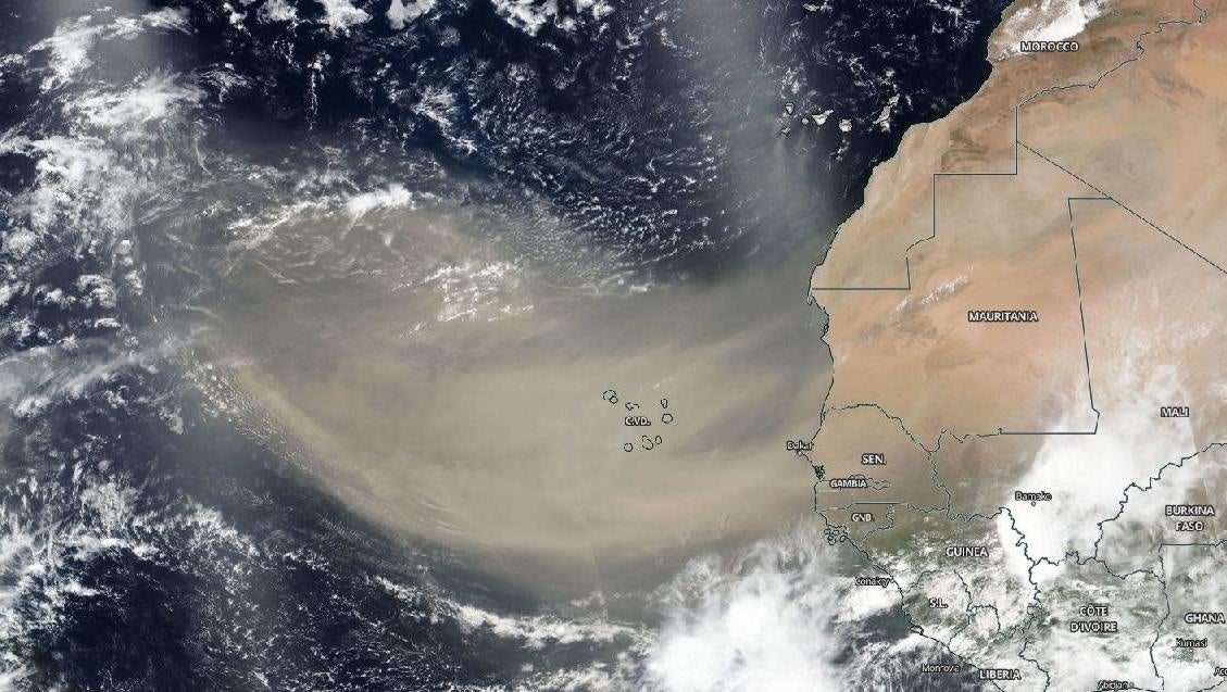A satellite photo of the Saharan dust plume, as imaged on June 18.