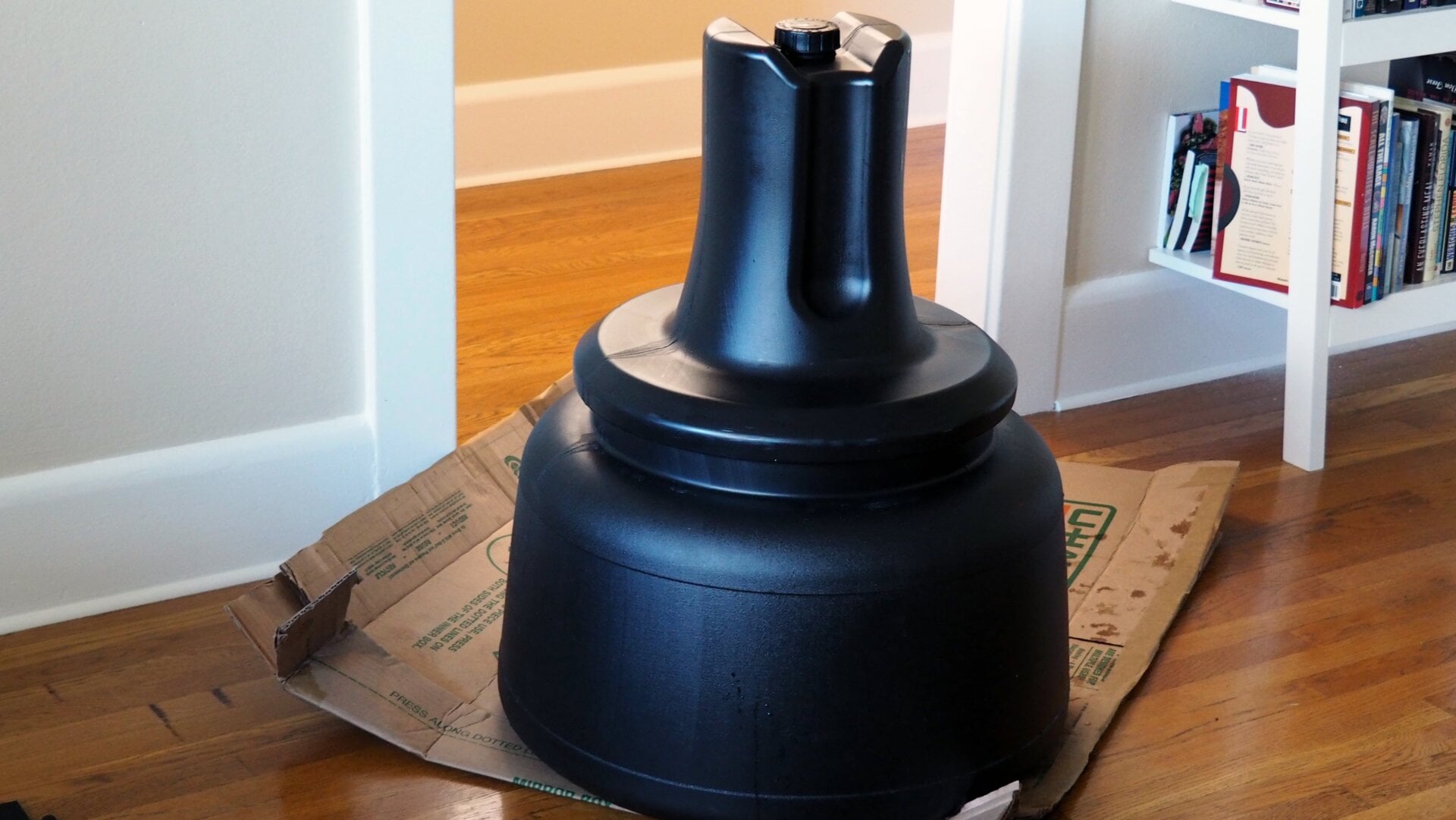 Was there an easier way to move the water-filled base into the living room? Maybe, but it’s too late now.