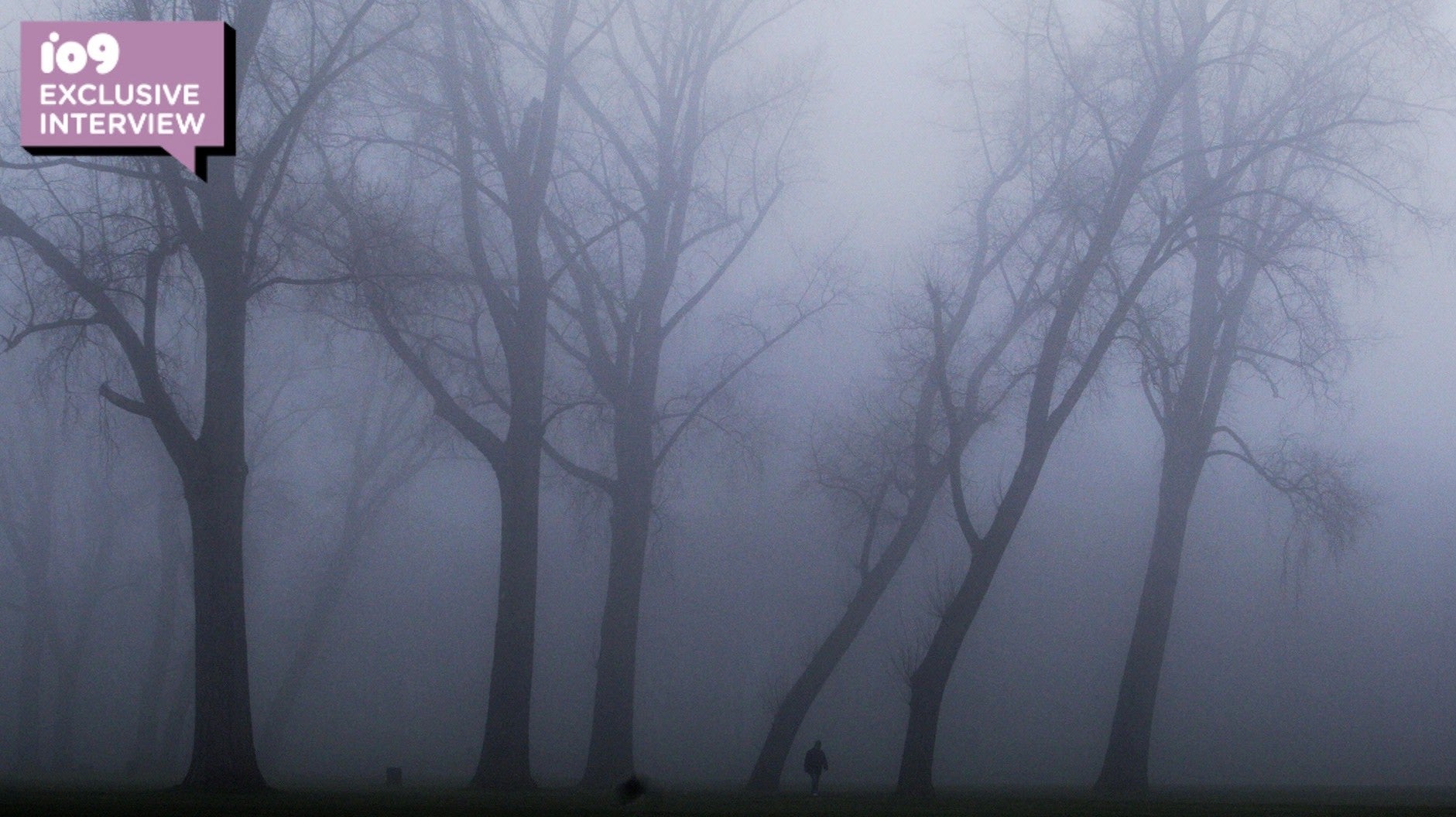 A jogger (or maybe Bigfoot?) in Rotterdam’s misty woods on February 13, 2008.