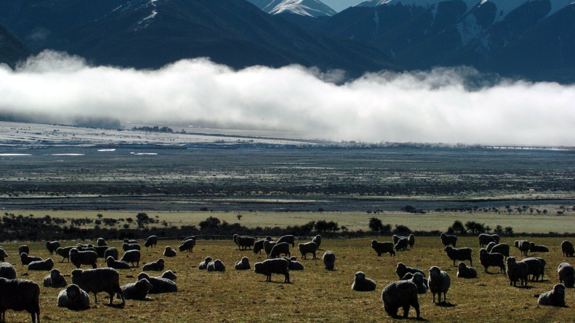 In case you needed a reminder that New Zealand is a very pretty place.