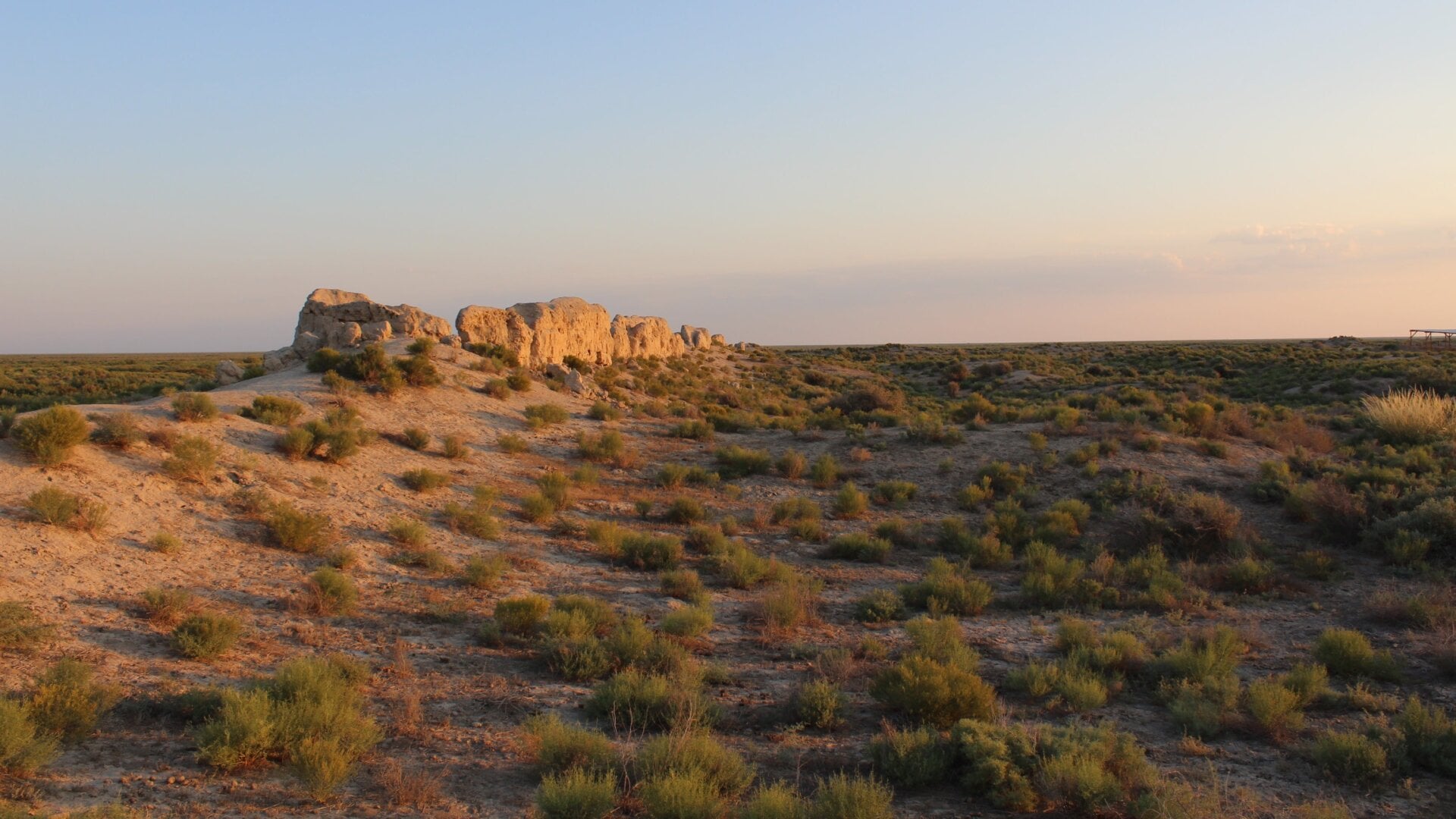 The cat skeleton was found at the Dhzankent site in Kazakhstan.